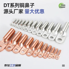 メーカー規格/工場規格DT-50酸洗錫メッキ銅ノーズ端子、紫銅配線端子、穴のカスタマイズ可能