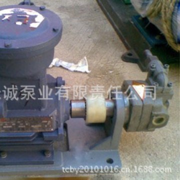 单项防爆齿轮泵TDB 不锈钢泵 铜轮泵 移动泵 耐酸碱盐泵 斜齿泵