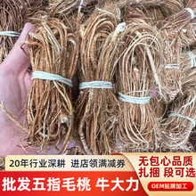 Դ�^�a����ָë�ҸɃ��o�����Ҝ��{����ָë�Ҷ�����ζ����ţ����