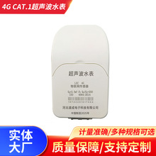 4G CAT.1����ˮ��DN15-25�����h�������ܵ�ʽ���@��������