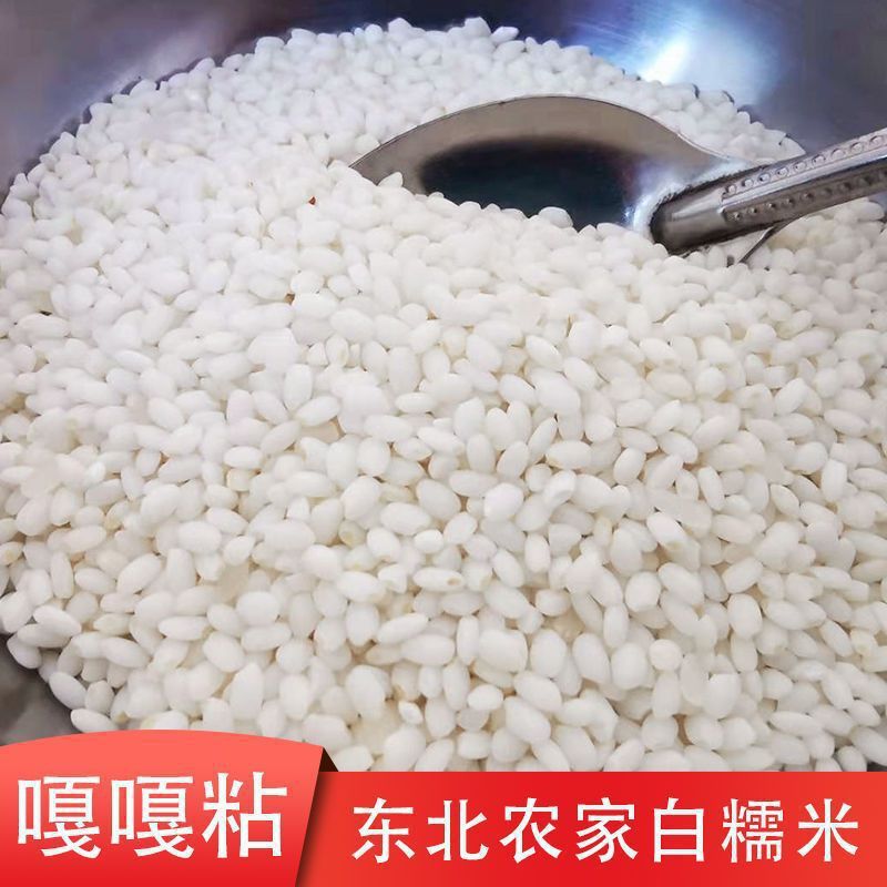 当季新米东北圆糯米5斤新鲜优质香白江米糯米粽子非10斤1斤|undefined