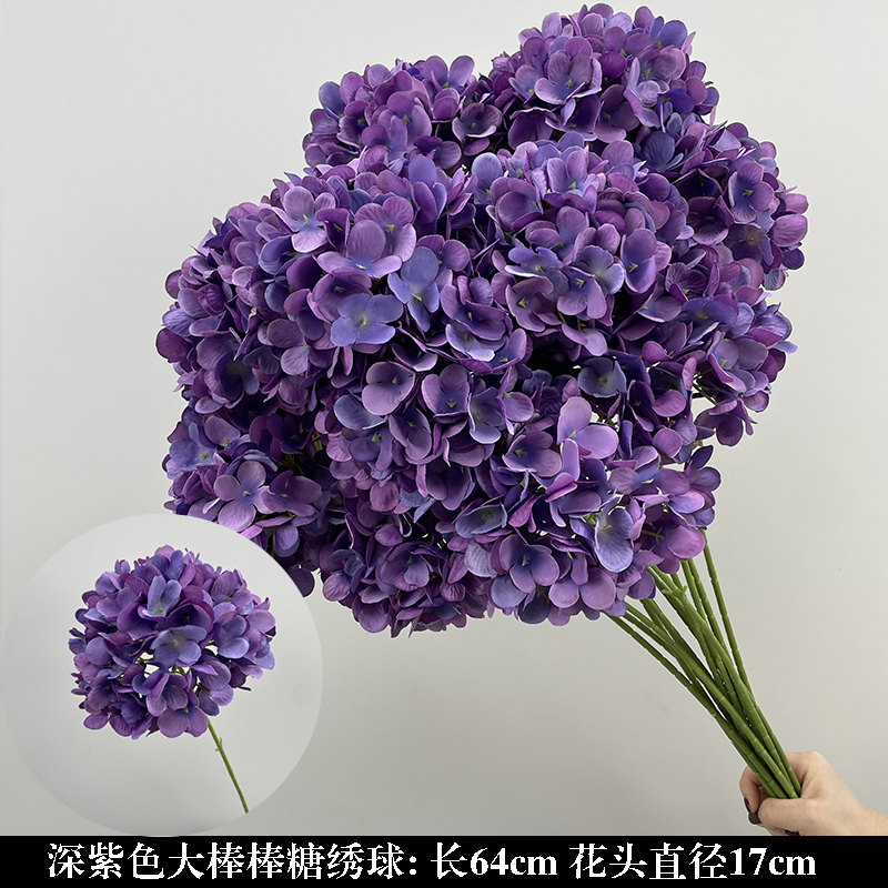 연한 갈색 짙은 보라색 큰 막대사탕 수국