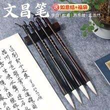 �Ĳ�ë�P4֧����}�����������������W������ë�P��׶Ÿ�ë�P