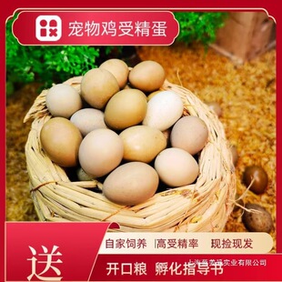 �����ܾ����u�W�t�u�R���u�N���J���u�����