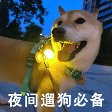 发光项圈夜晚遛狗夜灯狗狗夜间防走失灯宠物大中小型犬发光吊坠