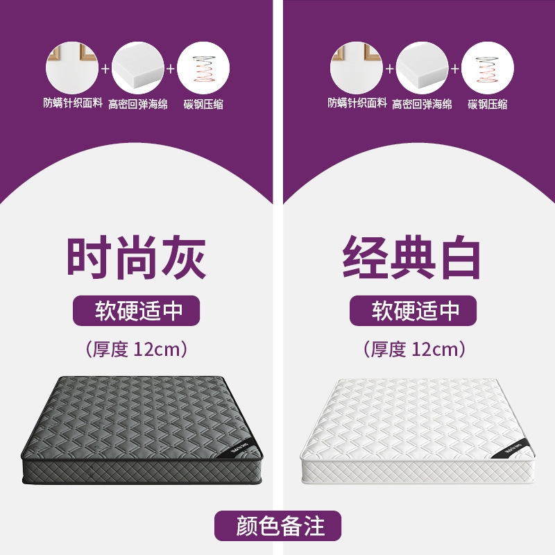 席梦思床垫家用卧室独立软垫弹簧床垫20cm厚1.5米租房专用硬椰棕|undefined