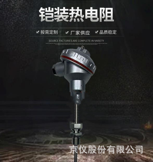 厂家批发供应pt100铠装热电阻/接线盒WZPK带固定螺纹/法兰/螺纹