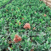 ���������� ��������С�~�������� �@�־��^���̹�����