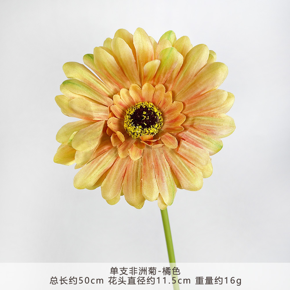 XGX - Gerbera Daisy đơn - Màu cam