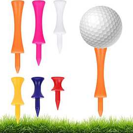 2024年新上跨境专用 高尔夫限位球钉 塑胶球梯 golf tee