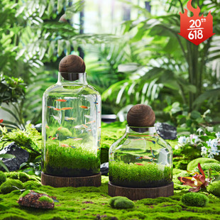 Japanese Transparent Glass Fish Tank High-Value Creative Wooden Tray Thickened Ecological Bottle Oval Hydroponic Ecological Simple Wholesale
