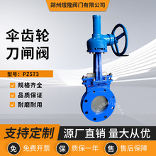 ����PZ573���X݆���Aʽ���l�y�T��քӸߜ������y�{Һ�y