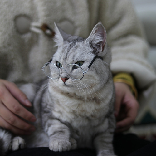 Pet Glasses Cat Supplies Creative Trendy Dog Pet Supplies New and Funny Funny Cat Sunglasses Wholesale