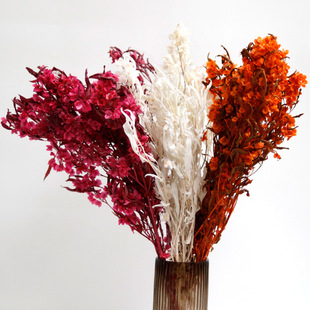 ������������ӭ�Ͷ��ɻ��tɫ���ϻ�����ȻƯɫ�滨�b��仨���