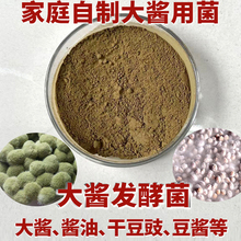 �u�������|�����u���N�����S���uƷ�����ul�;��������P�u��ĸ