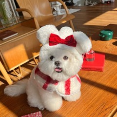 秋冬新款圣诞节甜心格纹披风保暖狗狗衣服小型犬泰迪猫咪宠物衣服