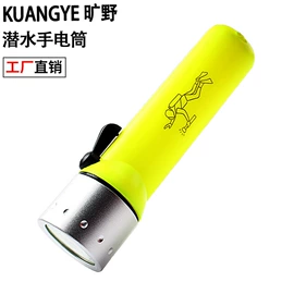 手电筒;头灯头戴电筒;野营/露营灯