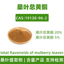 ɣ~Sͪ5%20%CAS:19130-96-2 mulberry leaves flavonoids