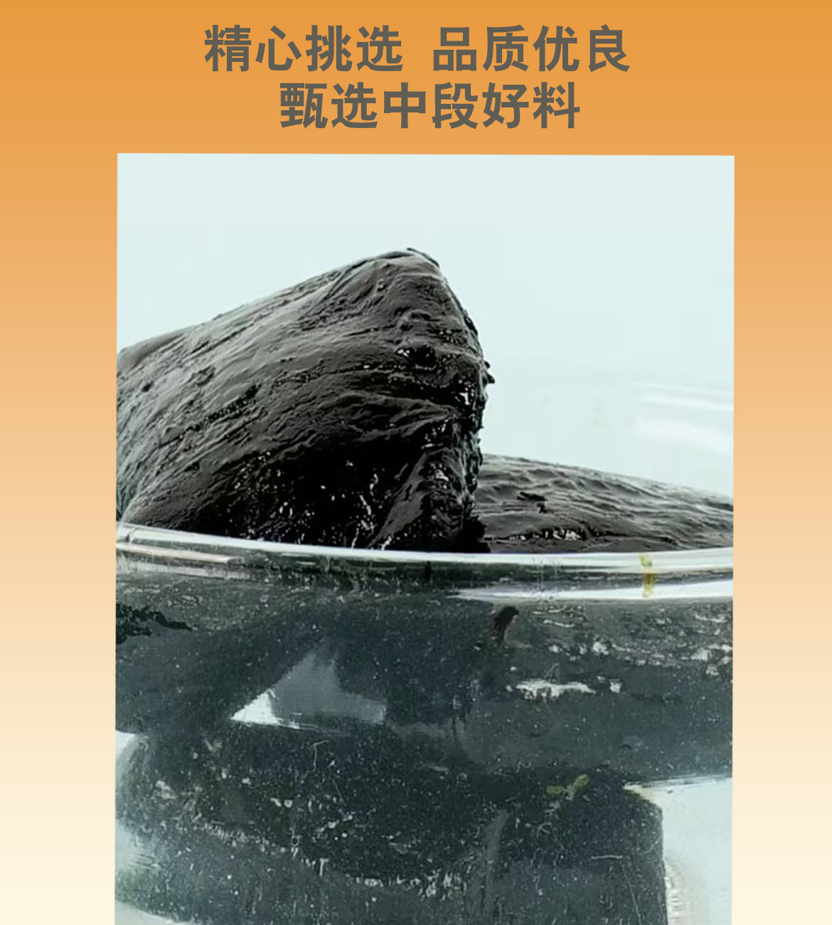 Cistanche Slices (Cistanche deserticola) — Nine-Steam-Nine-Sun Dried Food Herb, 200g quality and texture