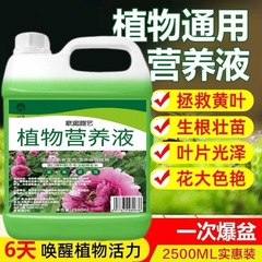 植物营养液通用型大桶5斤装花肥发财树水培盆栽家用花卉养花肥料