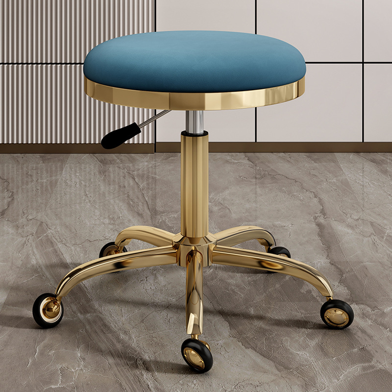 silla de dentista de estética elevadora polea de manicura silla giratoria silla de computadora silla de laboratorio maestro taburete