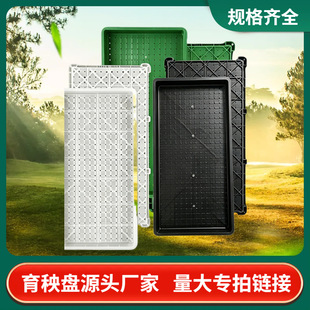 �����������P�Ӻ�PPӲ�P����P���x�������N�Pƽ�P�B�P����P