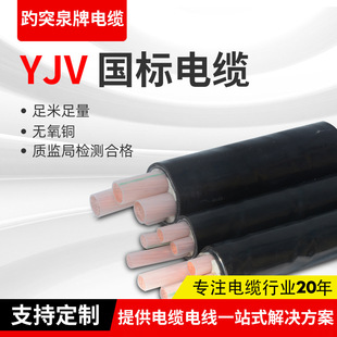 �S�ҬF؛5070ƽ��������|�͉�yjv��| YJV22�~о3оYJV�����|