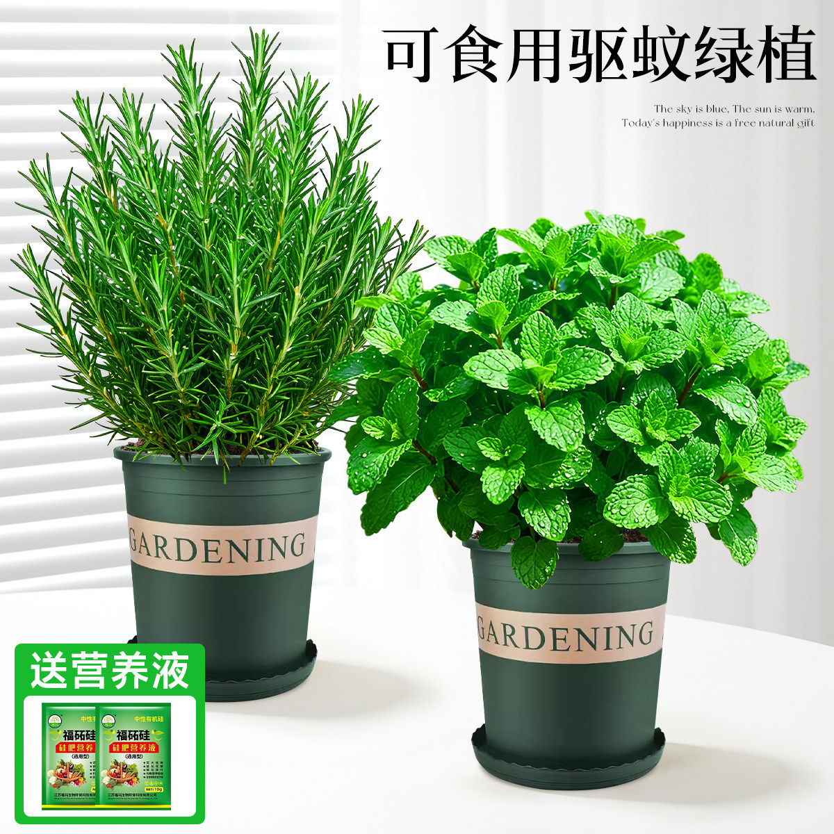 With simple planting pot