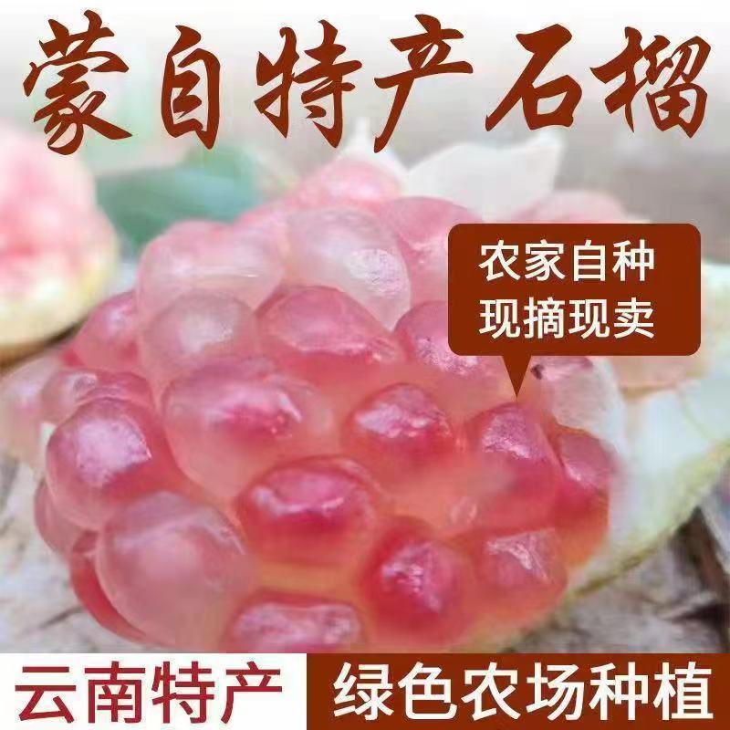 微信图片_20220804230610