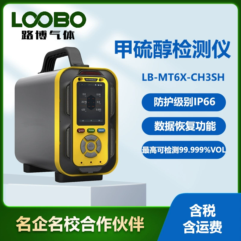 Насос всасывающий датчик концентрации метилмеркаптана портативный детектор содержания газа метилмеркаптана