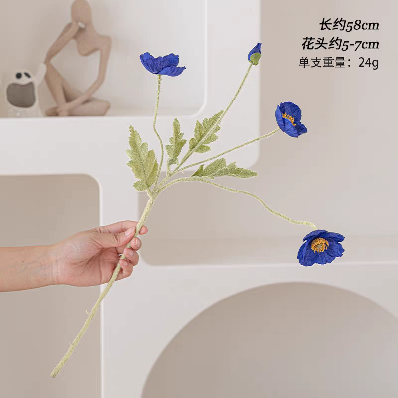 Amapola azul violeta