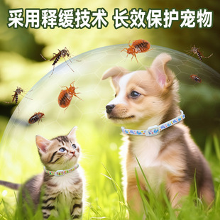 ������x�Ȧ؈�����؈Ȧ����ȥ��ʭ���\�x������ș�iȦ������Ʒ