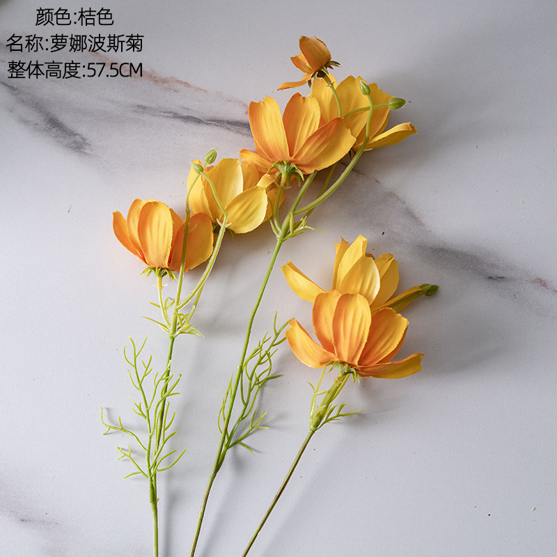 오렌지