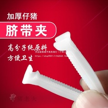 兽用器械养猪养殖用品一次性小猪用脐带夹仔猪护脐带仔猪脐带夹
