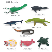 远古海洋动物8款 古生物仿真模型奇虾鱼龙蛇颈龙角石玩具跨境