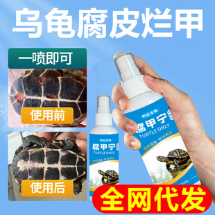 腐甲宁乌龟腐皮腐甲专用药烂甲软甲龟药乌龟壳消毒护龟宝龟壳喷剂-阿里巴巴