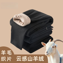 Ī����ɽ��q��ůѝ�N�����ѝ�ﶬ����Ů�Ӻ�ӽq��ѝ������ëѝ