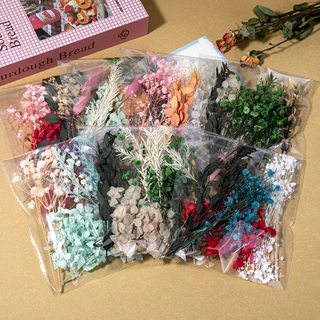 压花小袋装干花永生花滴胶diy材料包 手工儿童团扇花相框押花材料