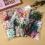 袋装手工儿童压花干花