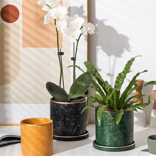 ��������m�Č���С����͸�ⱱ�W�����p�ݻ��P��ƿ�մ��m������