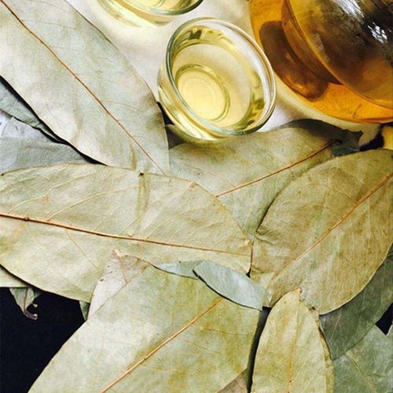 Whole Dried Soursop Leaves 120g Bag Freeze Dried Herbal Tea Leaves for Daily Infusions specifications