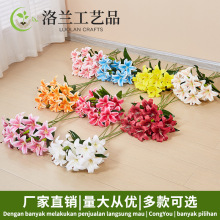 3D�ٺϰ��� �zƬ���m�� �Ƶ�zӰ���l���滨 �Ҿ�����bٻ�