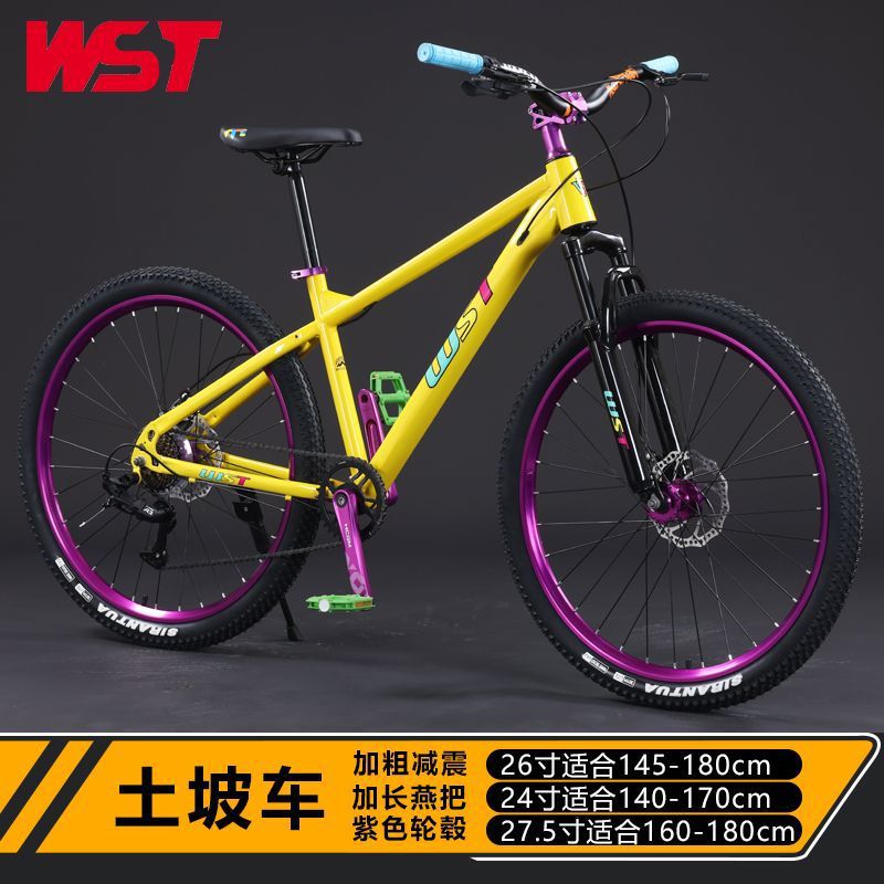 Bicicleta de montaña puede hacer movimiento profesional bicicletas de doble cilindro de cambio de velocidad para hombres y mujeres adultos bicicletas de paso para carreras de cross country