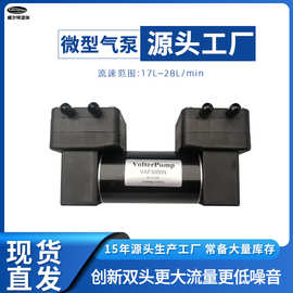 定制微型气泵大流量低噪音双头气泵12v 24v吸痰机增压隔膜泵
