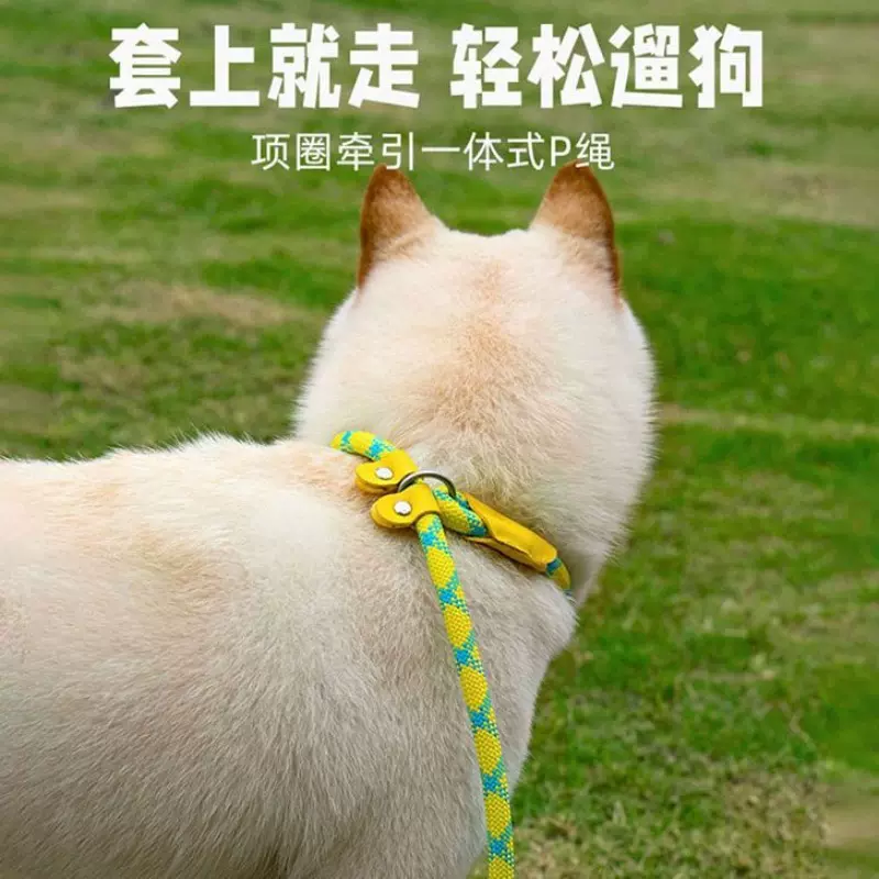 p链p绳狗狗牵引绳遛狗链子小中大型犬训犬防爆冲打结金毛宠物用品