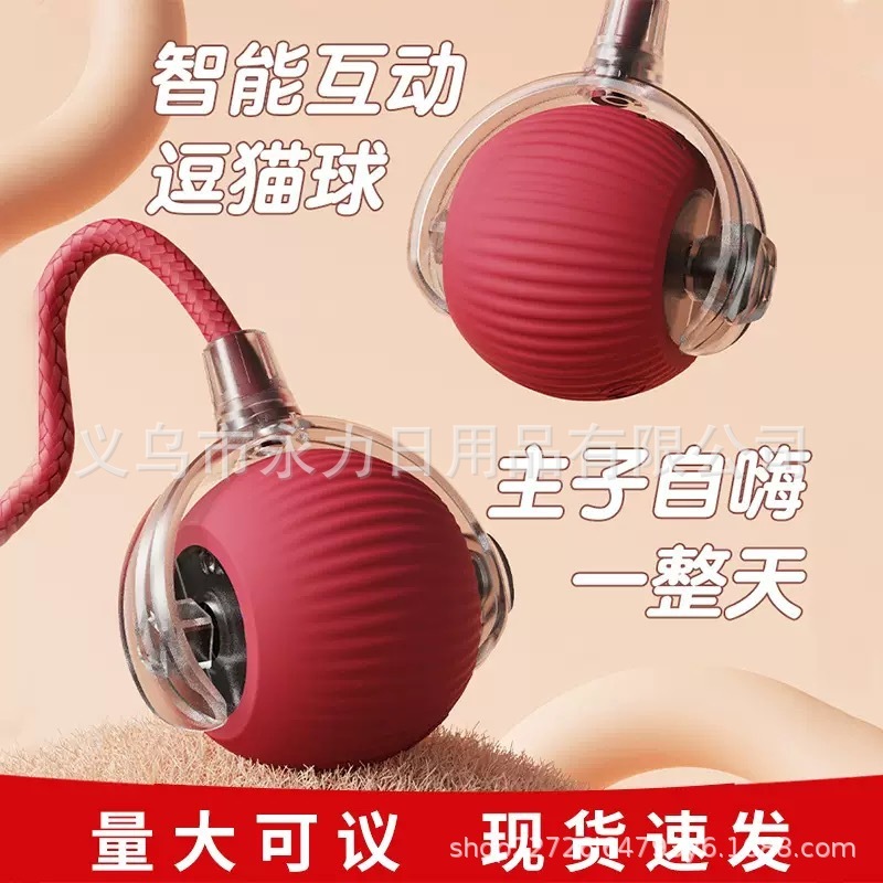 跨境猫玩具自动逗猫球自嗨解闷神器猫咪滚滚球具宠物玩具宠物用品|undefined