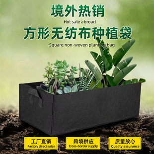 �羳ë���L���ηNֲ��������ֲ���@�־G�����ΠI�B��������Gֲ