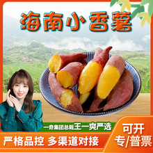 【严选】海南小香薯 3斤迷你小红薯农家自种烤地瓜新鲜红皮地瓜