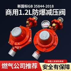 新しい国家標準商用 1.2L 圧力減圧弁、計器付き、大流量ガスボンベ自動閉鎖弁、強火ストーブレストラン安全弁