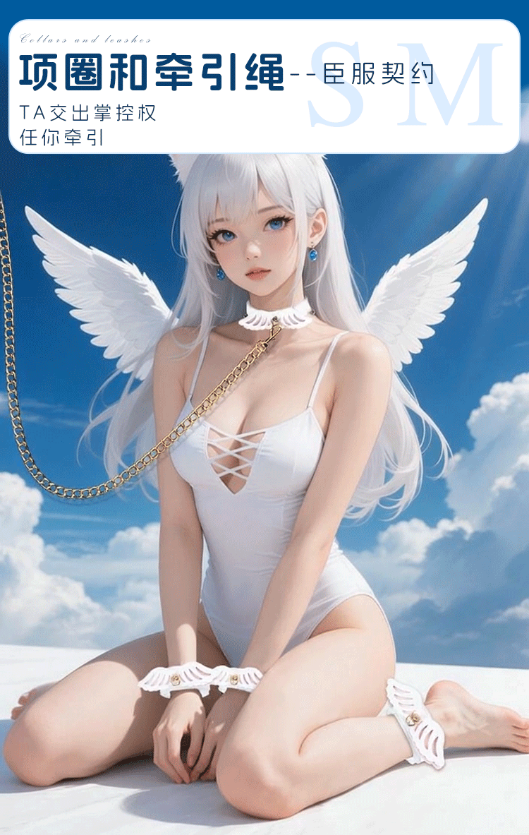 Jiuai SM Angel Wings Bondage Set with Handcuffs, Collar and PU Leather Accents — detail image 3